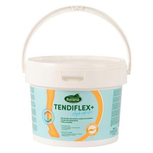 Argile RAVENE "Tendiflex +"