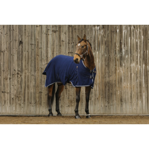 Chemise polaire EQUITHEME "Vague"