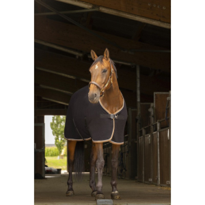 Chemise séchante EQUITHÈME "Teddy"