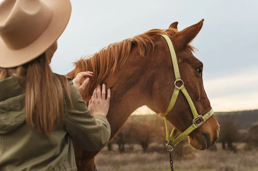 Comment protéger son cheval de la chaleur en été