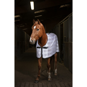 Chemise RIDING WORLD "Mesh"
