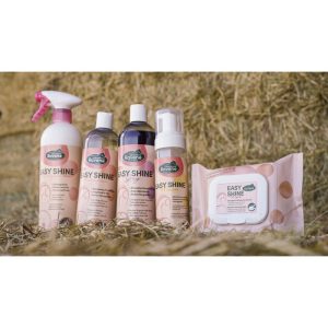 Easy Shine Wipe Lingettes nettoyantes RAVENE