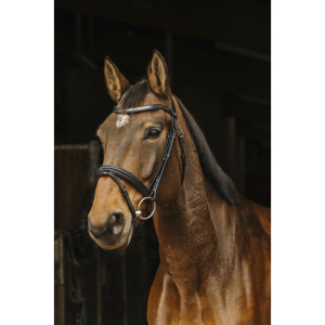 Bridon NORTON PRO - Galon