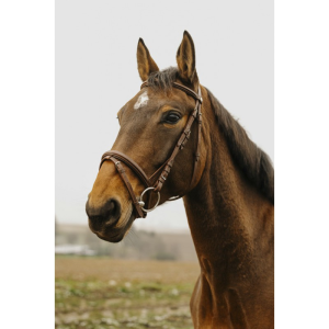 Bridon NORTON CLUB - Square