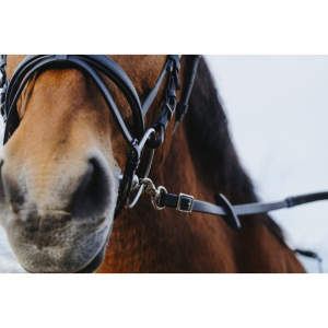 Rênes caoutchouc NORTON TRAINING PVC