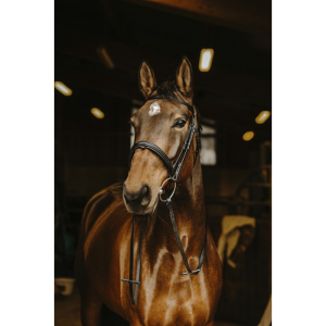 Rênes lisses NORTON PRO Boucle noire