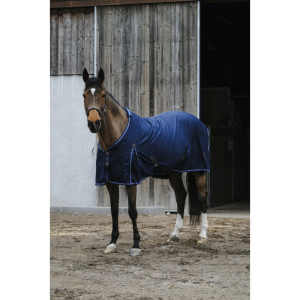 Chemise polycoton EQUITHÈME "Classic"