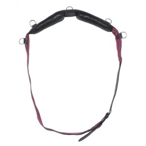 Surfaix sangle NORTON CLUB