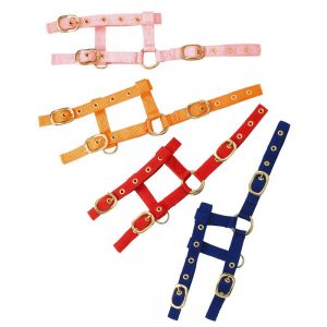 Licol réglable NORTON “Mini”