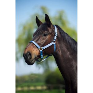 Licol nylon NORTON doublé cuir