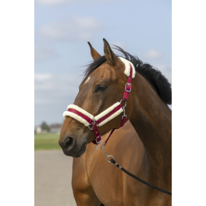 Licol EQUITHÈME "Nylon Mouton"