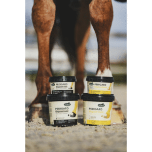 Pediguard Onguent blond RAVENE