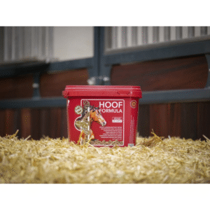 Aliment complémentaire complet KEVIN BACON'S - Hoof Formula