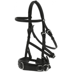 Caveçon large NORTON