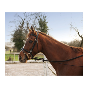 Enrênement long éducatif NORTON élastique