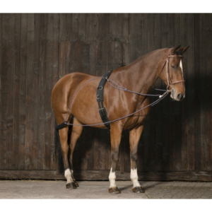 Enrênement à poulies NORTON