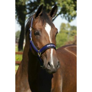 Licol BACK ON TRACK® - Werano