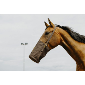 Musette canvas HIPPOTONIC