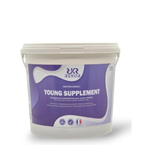 YOUNG SUPPLEMENT