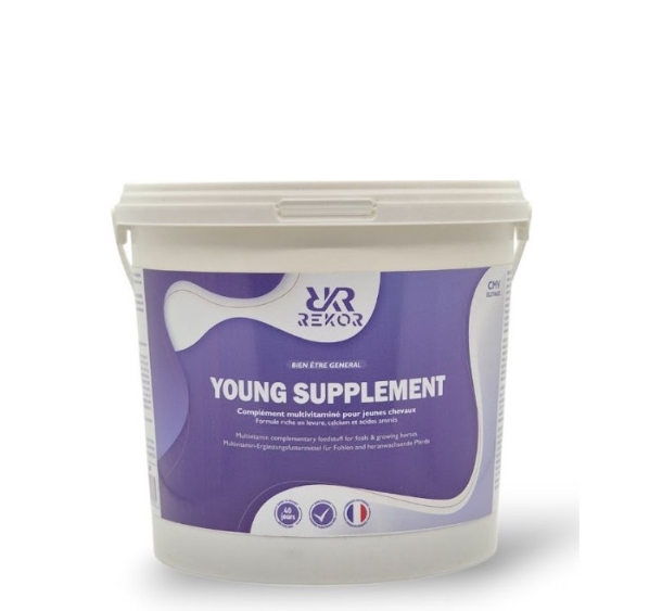 YOUNG SUPPLEMENT