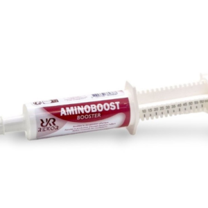 AMINOBOOST ENDURANCE
