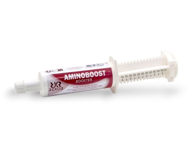 AMINOBOOST ENDURANCE
