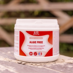 Gel réparateur REKOR « Aloe Vera »