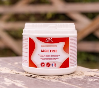Gel réparateur REKOR « Aloe Vera »