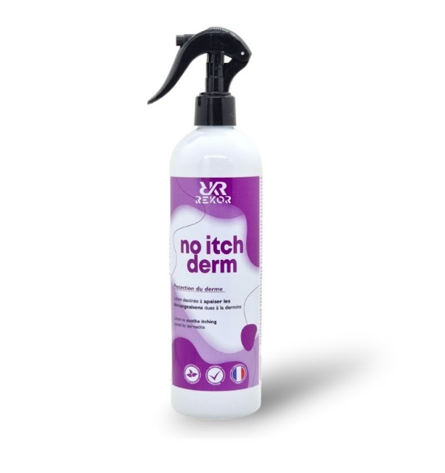 NO ITCH DERM