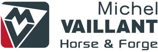 michel vaillant