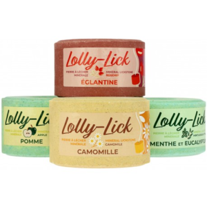 LOLLY-LICK POMME 700G