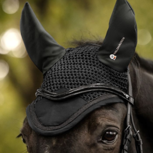 Filet auriculaire Competition