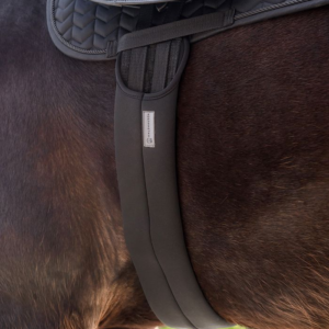 Sangle pour selle
