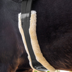 Sangle de selle en cuir Waldhausen avec ECO Wool