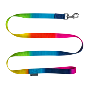Longe Arc-en-ciel
