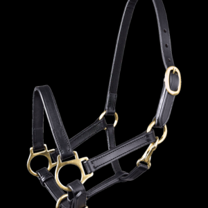 STAR Licol en cuir pour poulain