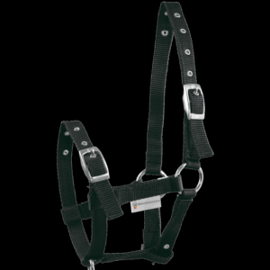 Licol pour Poulain Triple