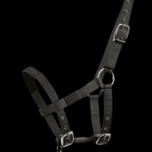 Licol Mini-Shetty