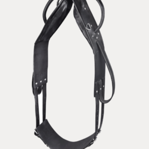 Surfaix de longe et de voltige, cuir