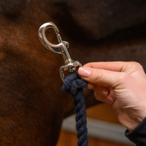 Mousqueton pour Longes