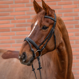Bridon STAR Diamond