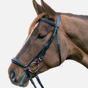 STAR Bridon Hannover