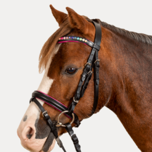STAR Bridon Pinky