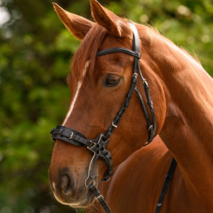Waldhausen X-Line Bridon pour hackamore