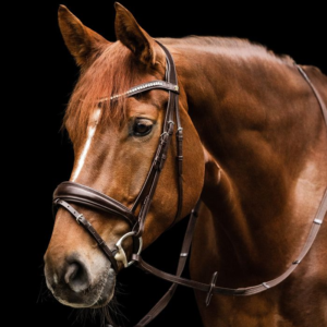 Bridon Waldhausen S-Line Essential