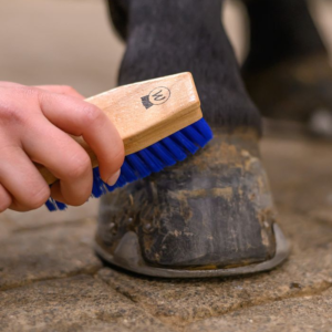 Brosse à sabots