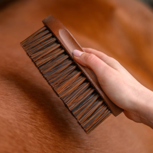 Brosse pour crinière et queue HardWood