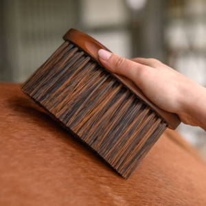 Brosse poussière HardWood