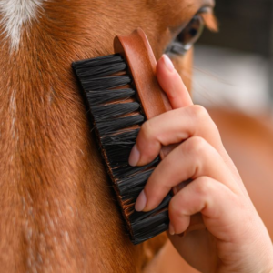 Brosse pour tête HardWood