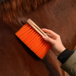 Brosse à poussière